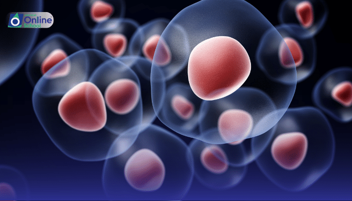 Lesson 21: The Dynamic Cell: Endocytosis and Exocytosis